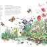 Wilding: How to Bring Wildlife Back - an Illustrated Guide