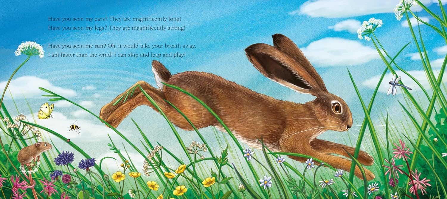 I am Hattie the Hare