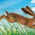 I am Hattie the Hare