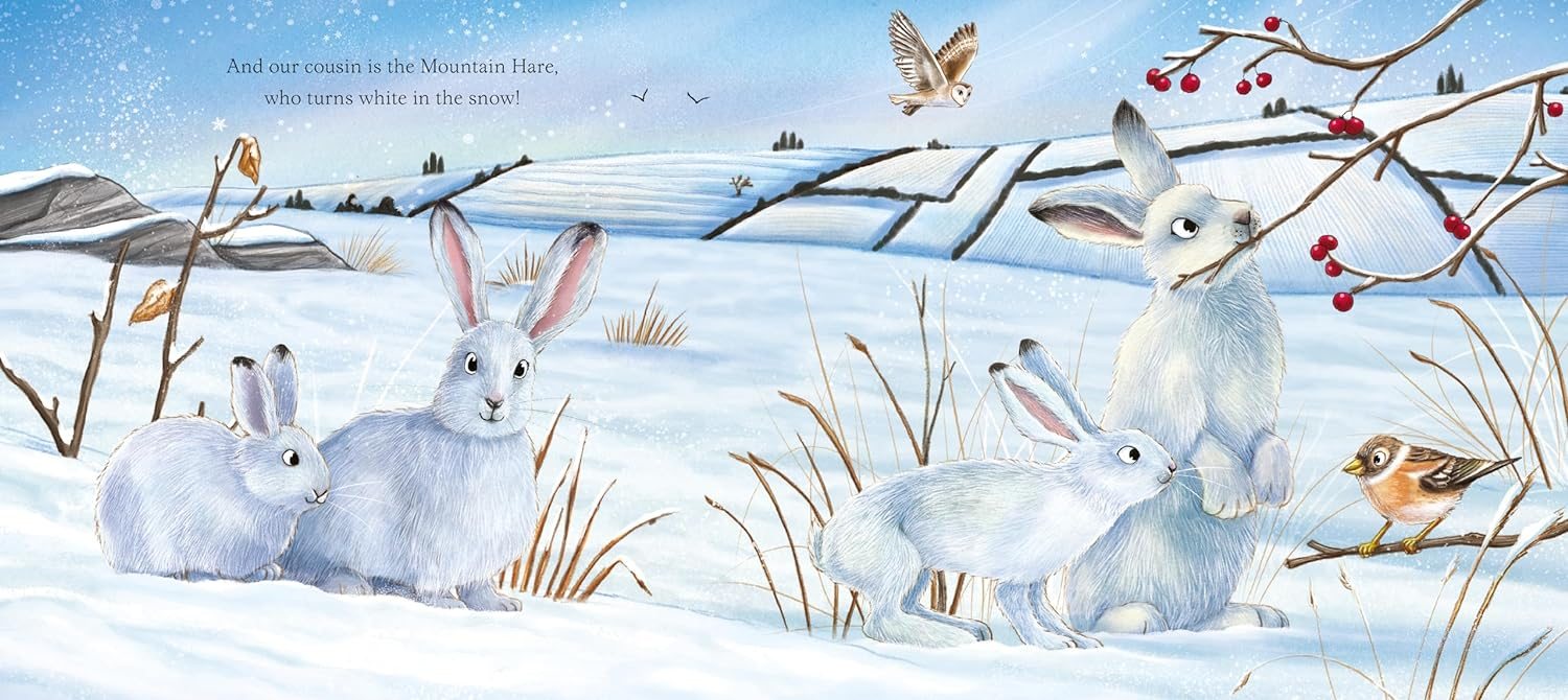 I am Hattie the Hare