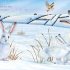 I am Hattie the Hare