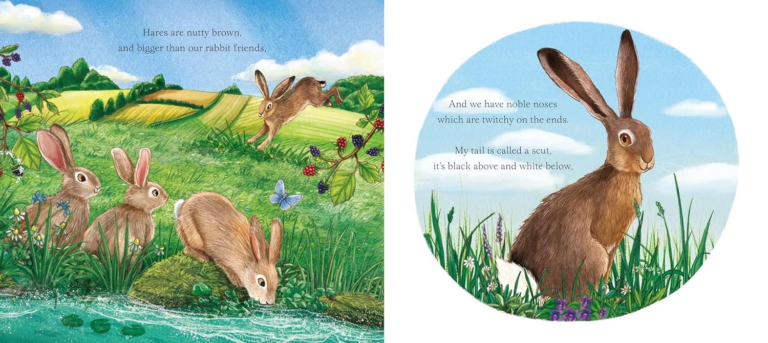 I am Hattie the Hare