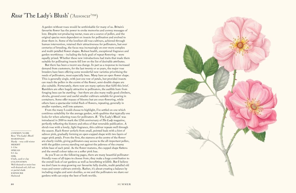 A Flower Garden for Pollinators