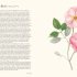 A Flower Garden for Pollinators