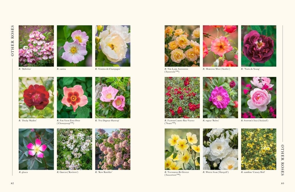 A Flower Garden for Pollinators