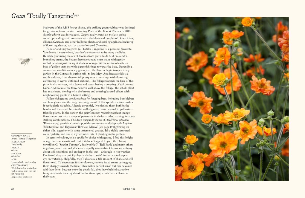 A Flower Garden for Pollinators