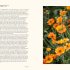 A Flower Garden for Pollinators