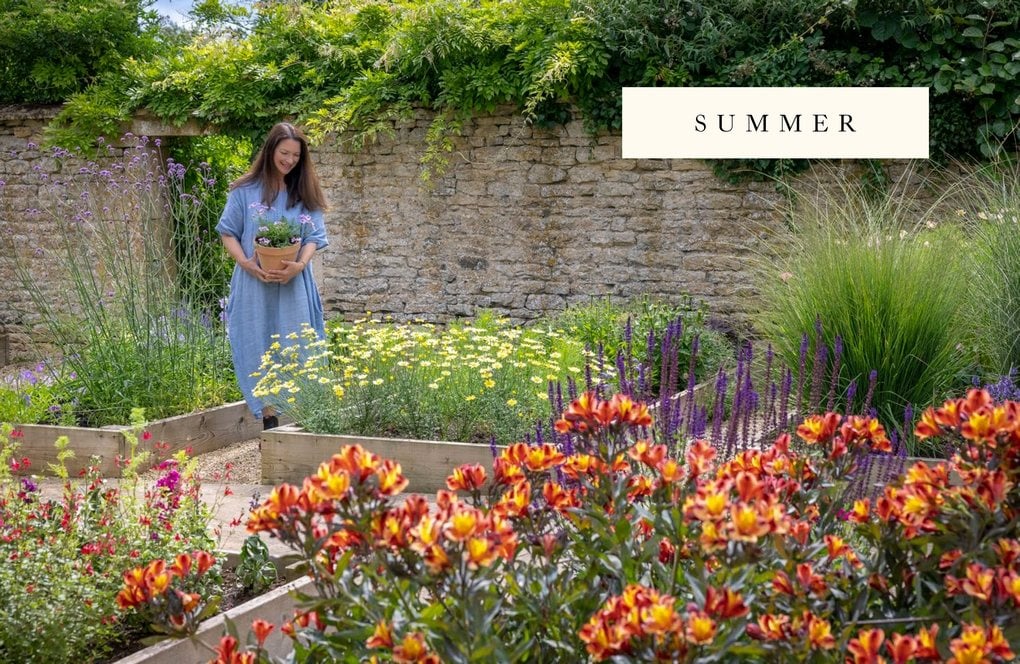 A Flower Garden for Pollinators