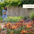 A Flower Garden for Pollinators
