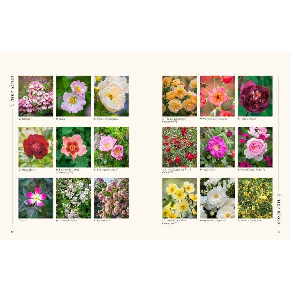 A Flower Garden for Pollinators