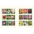 A Flower Garden for Pollinators