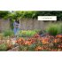 A Flower Garden for Pollinators