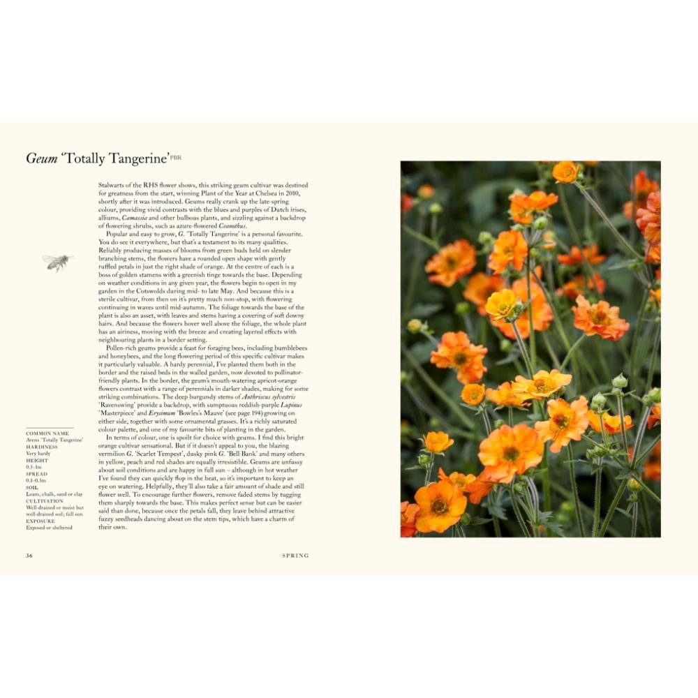 A Flower Garden for Pollinators