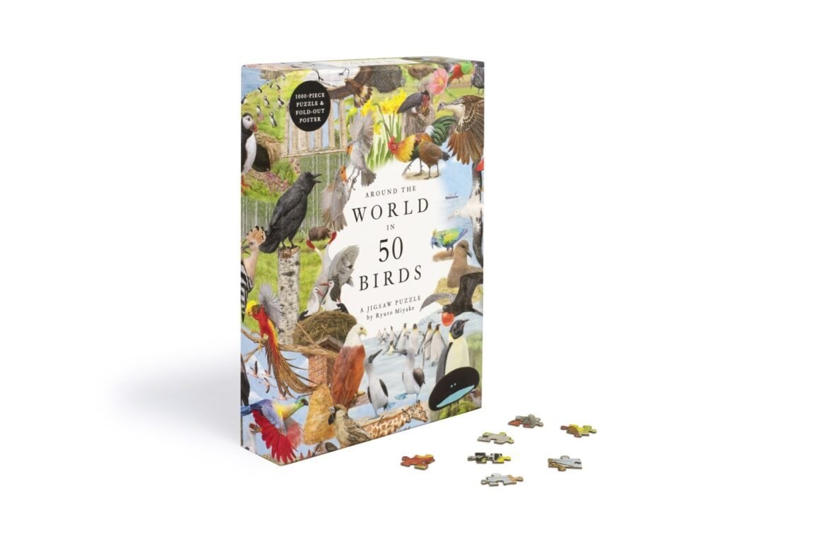 Around The World In 50 Birds 1000 Piece Jigsaw Puzzle