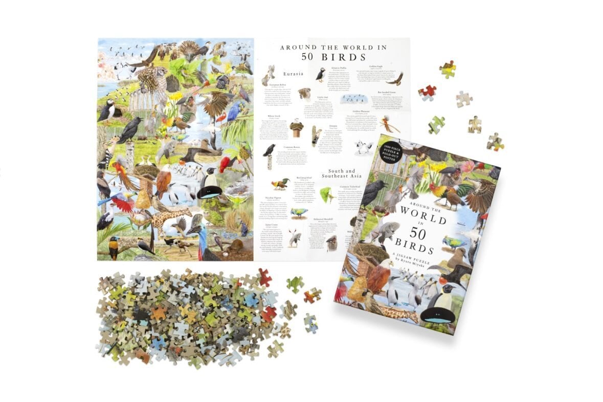 Around The World In 50 Birds 1000 Piece Jigsaw Puzzle