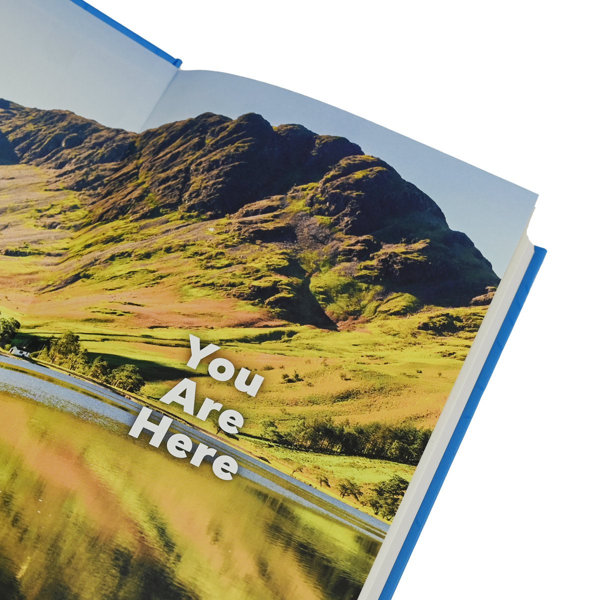 You Are Here