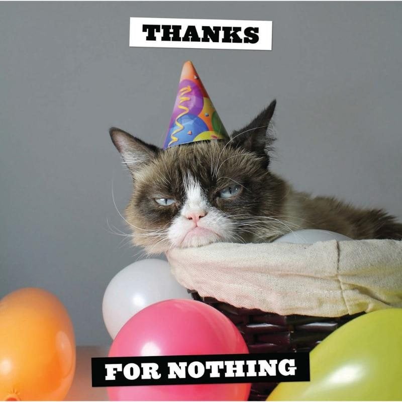 Grumpy Cat 2025 Wall Calendar by Grumpy Cat Foyles