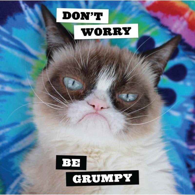 Grumpy Cat 2025 Wall Calendar by Grumpy Cat Foyles