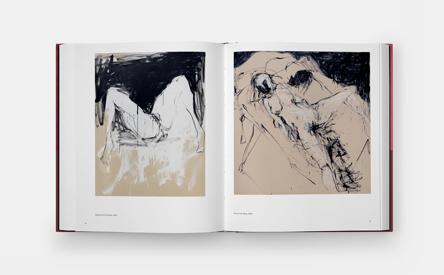 Tracey Emin Paintings