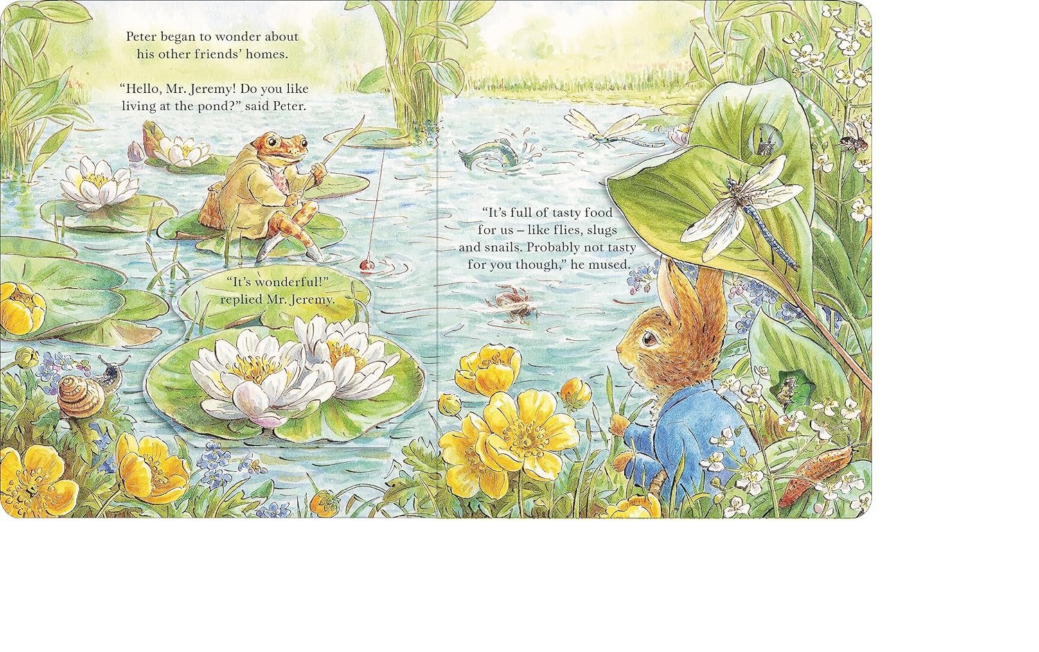 Peter Rabbit: Forest Homes A Peep-Inside Tale