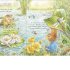 Peter Rabbit: Forest Homes A Peep-Inside Tale