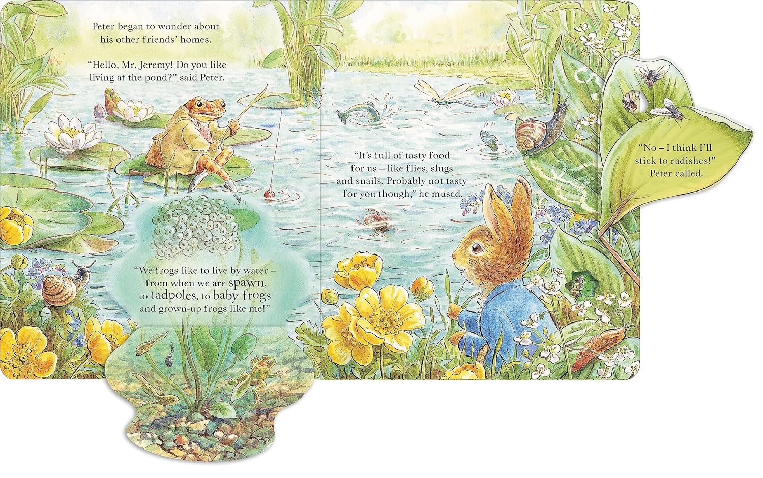 Peter Rabbit: Forest Homes A Peep-Inside Tale