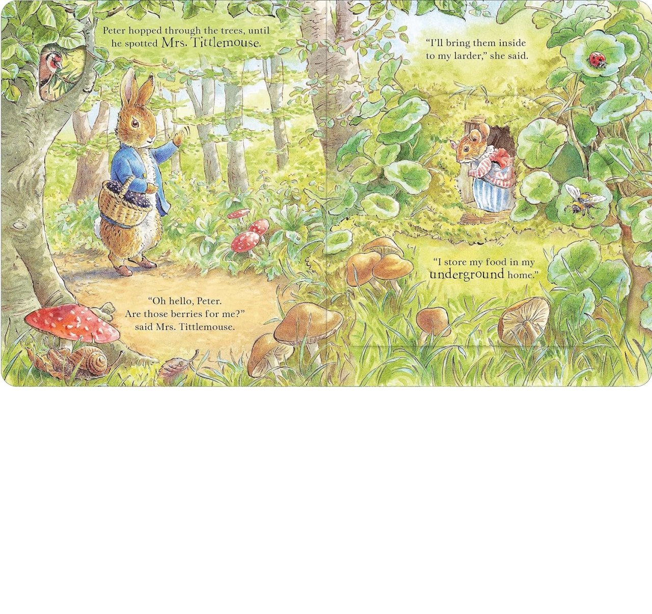 Peter Rabbit: Forest Homes A Peep-Inside Tale