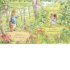 Peter Rabbit: Forest Homes A Peep-Inside Tale