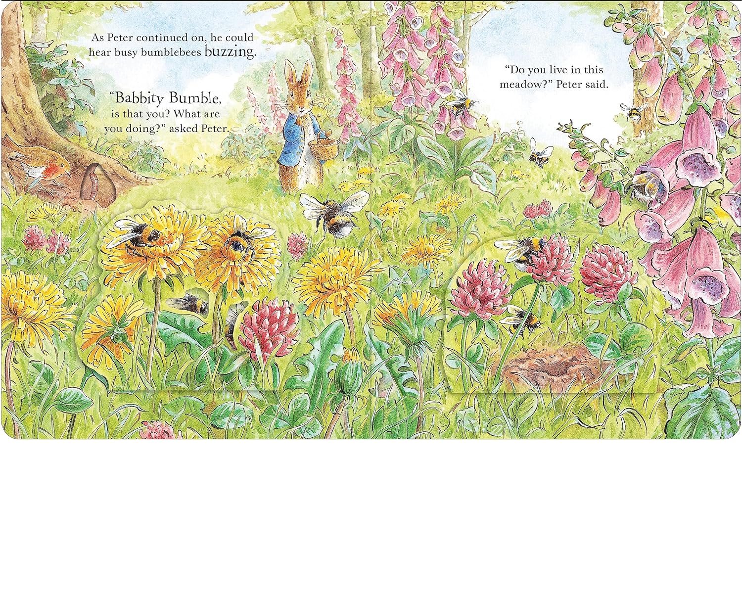 Peter Rabbit: Forest Homes A Peep-Inside Tale