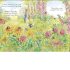 Peter Rabbit: Forest Homes A Peep-Inside Tale