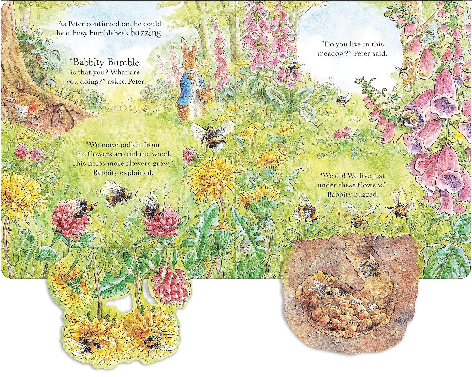 Peter Rabbit: Forest Homes A Peep-Inside Tale