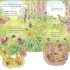 Peter Rabbit: Forest Homes A Peep-Inside Tale