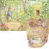 Peter Rabbit: Forest Homes A Peep-Inside Tale