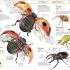 Knowledge Encyclopedia Animal!