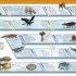 Knowledge Encyclopedia Animal!