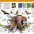 Knowledge Encyclopedia Animal!