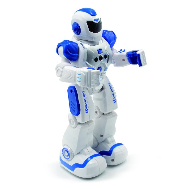 Motion Robot