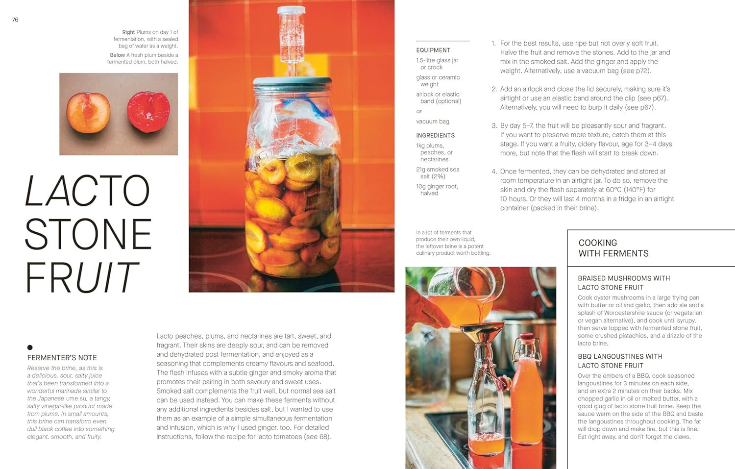 The Fermentation Kitchen