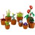 Tiny Plants