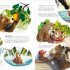 Paddington in Peru: The Jungle Quest