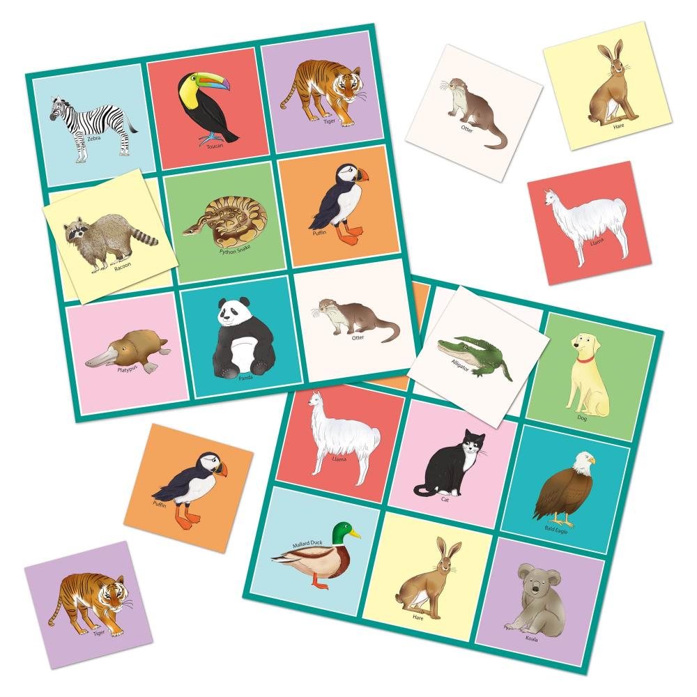 Let's Learn Animals