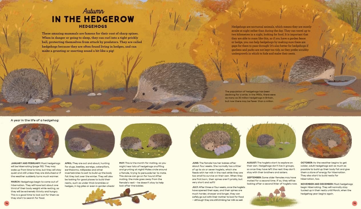 National Trust: A Story of the Seasons