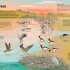 National Trust: A Story of the Seasons