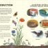 National Trust: A Story of the Seasons