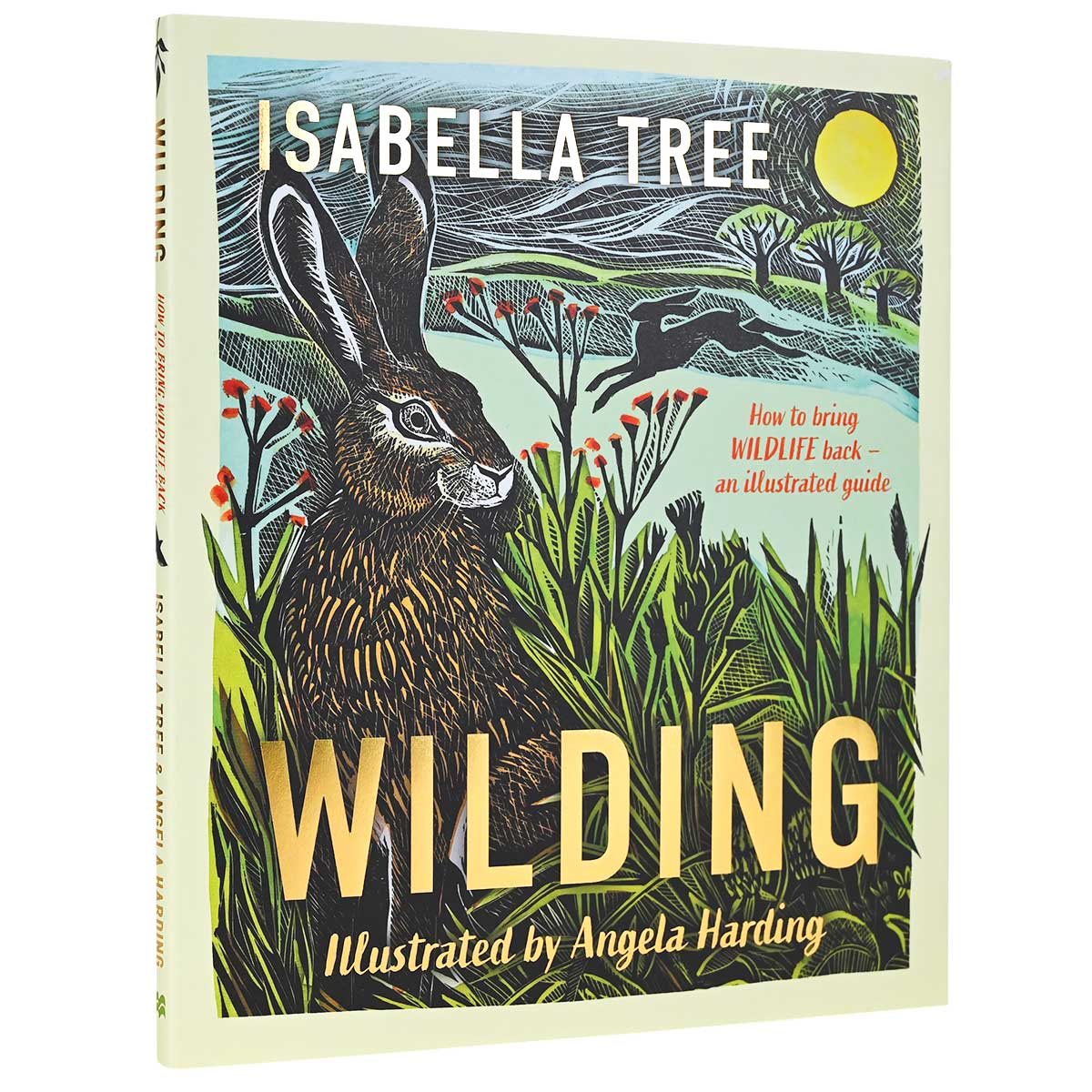 Wilding: How to Bring Wildlife Back - an Illustrated Guide