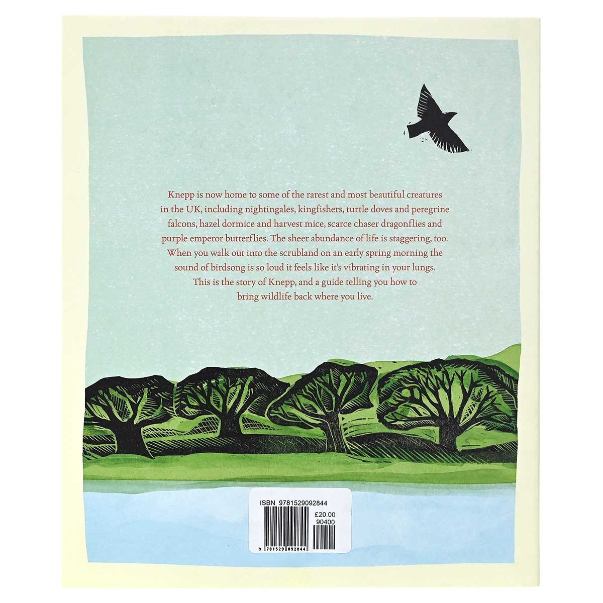 Wilding: How to Bring Wildlife Back - an Illustrated Guide