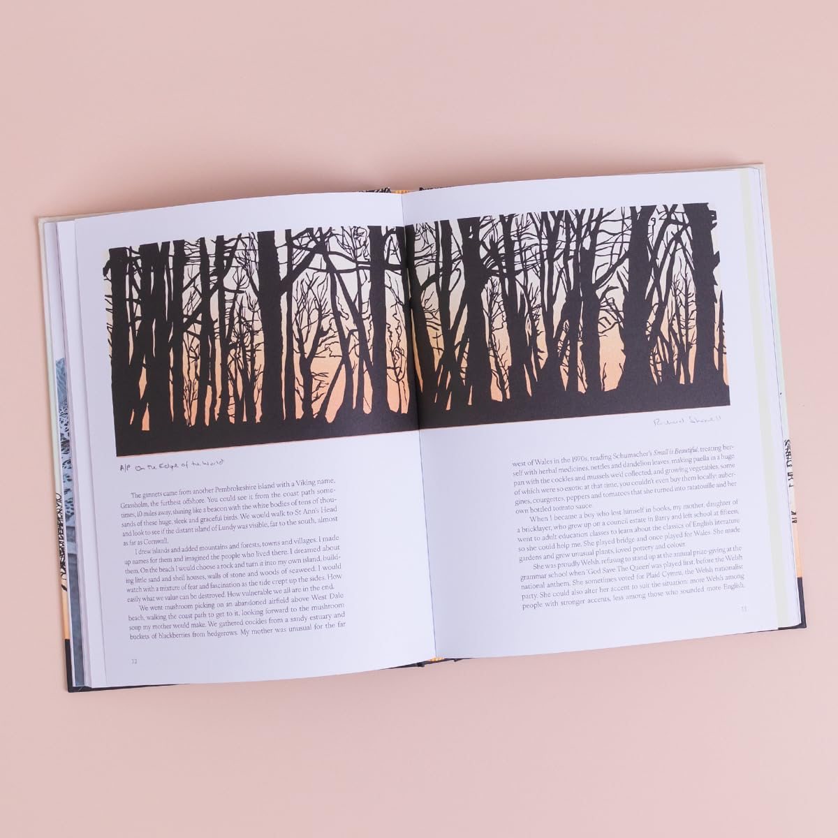 Trees in Winter