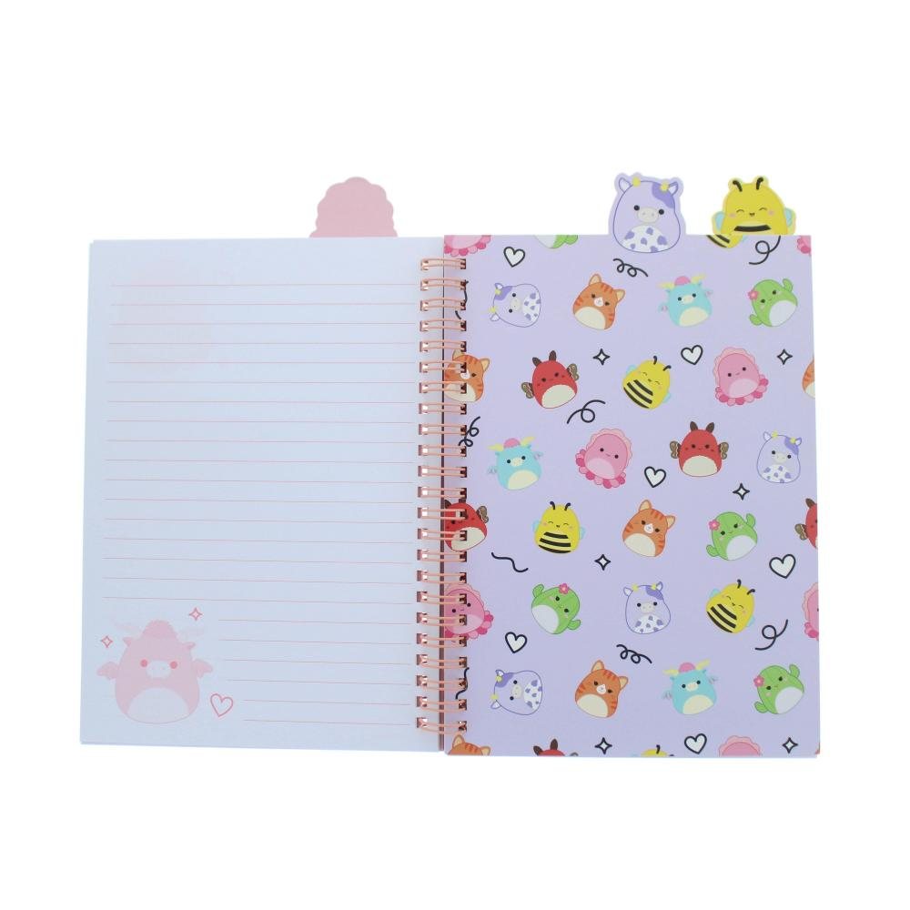 Squishmallows Project Notebook New