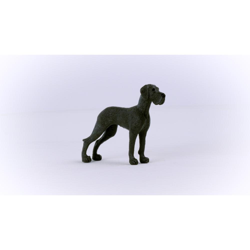 Great Dane