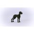 Great Dane
